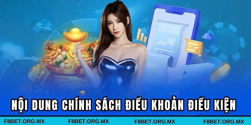 Nội dung chính sách điều khoản điều kiện 